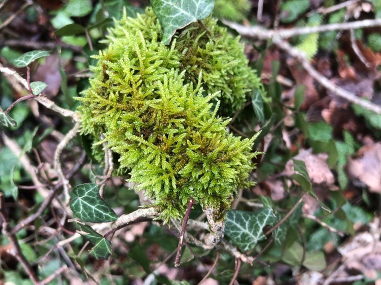 témoignage 2021 - PF